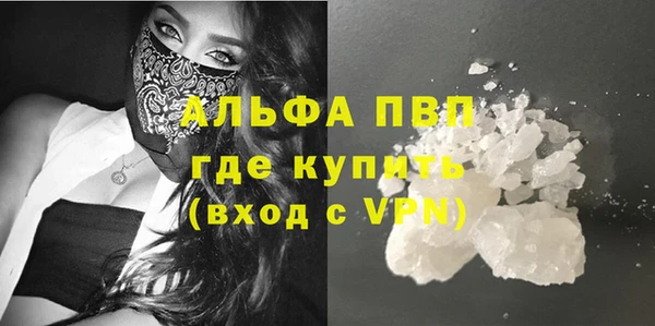 гидра Кемь