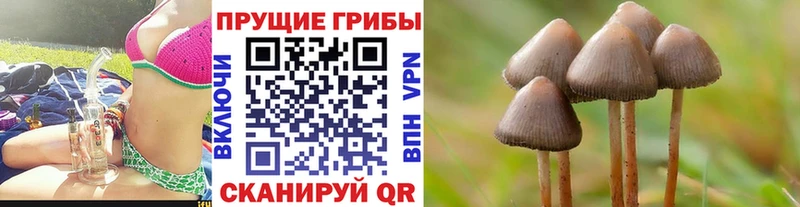 Галлюциногенные грибы мухоморы  Лиски 